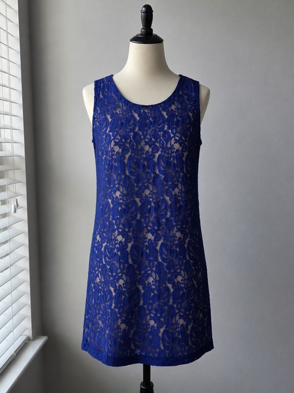 Francesca's Collections Royal Blue Lace Sleeveless Shift Dress